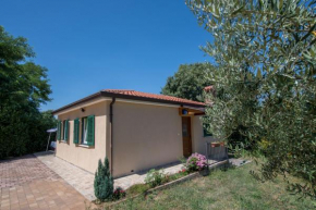 Hotels in Općina Buje